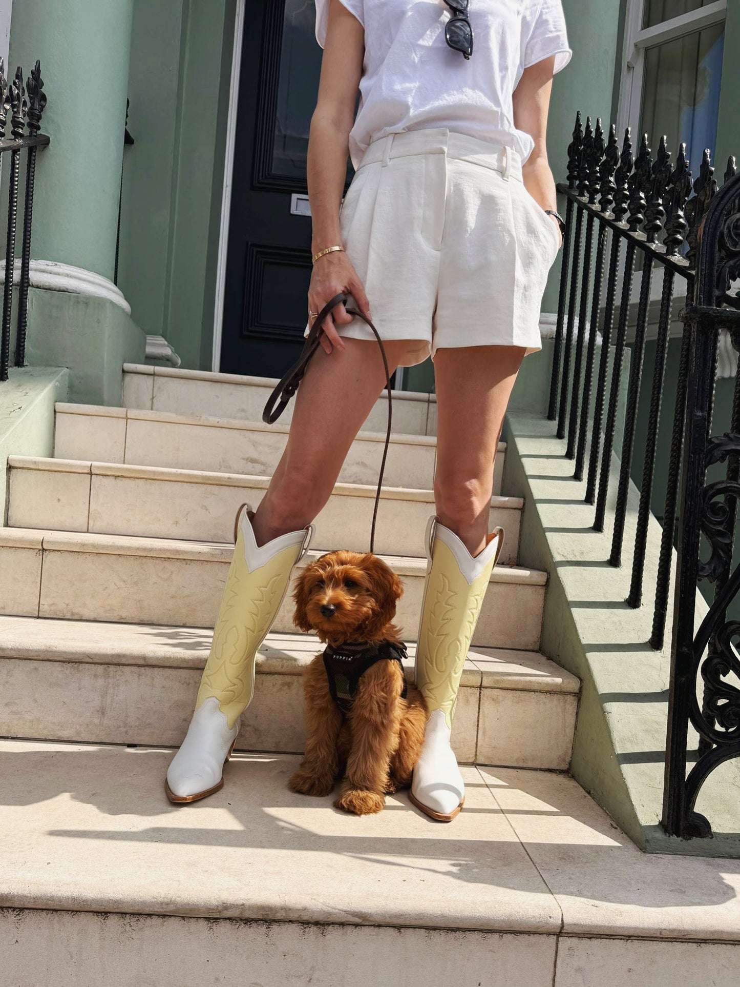 Person wearing yellow and white cowboy boots with a dog on a leash, standing on steps.