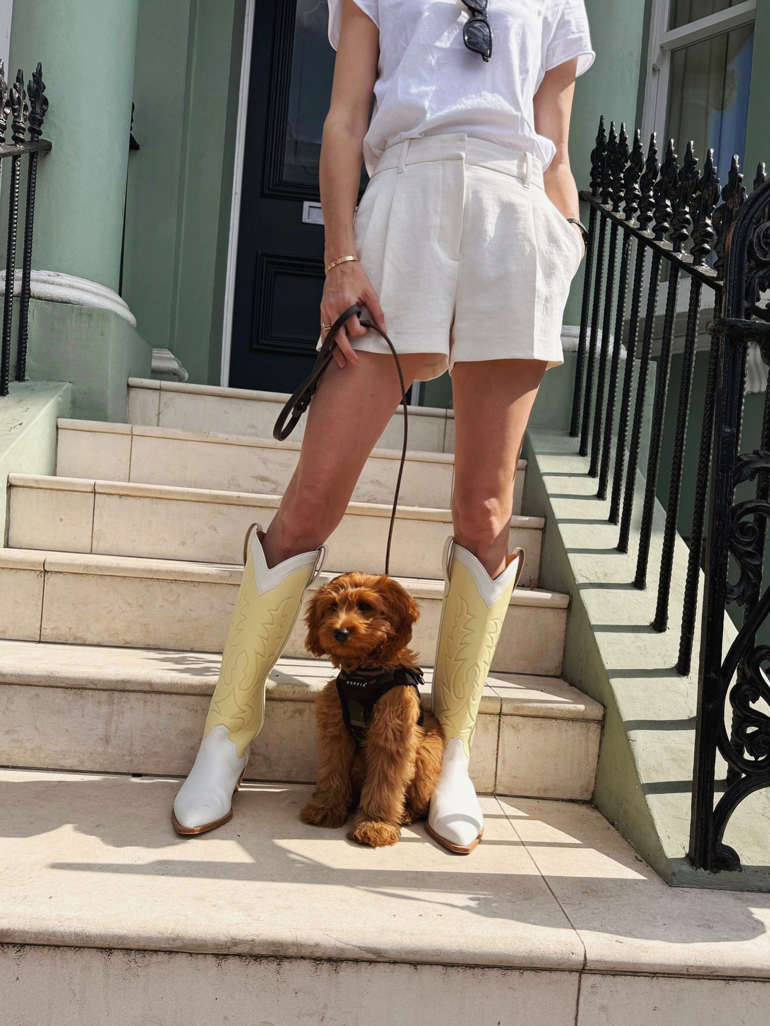 Person wearing yellow and white cowboy boots with a dog on a leash, standing on steps.